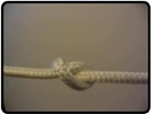 overhand knot